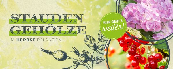 MW_201909_010082_Web-Banner_880x350px-mit