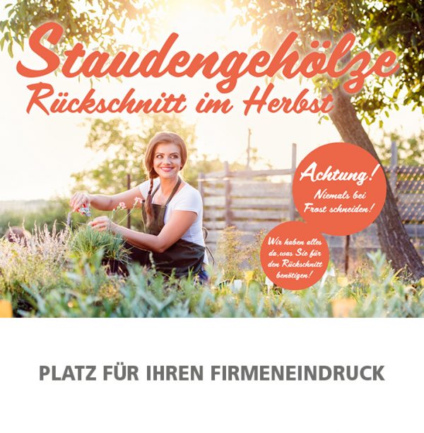 MW_201909_010083_Anzeige_92x94mm