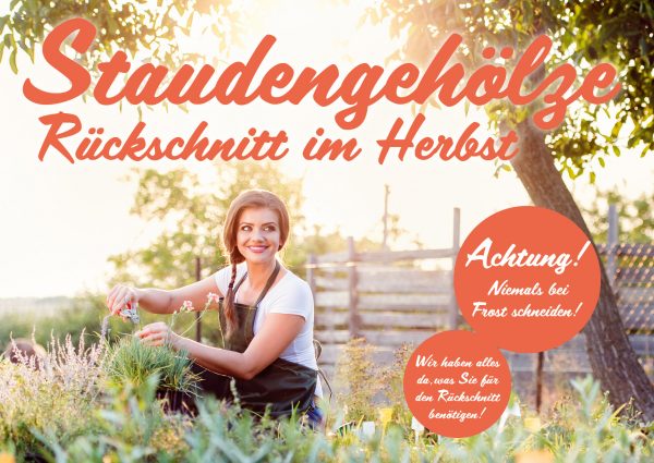 MW_201909_010083_Banner_212x150cm