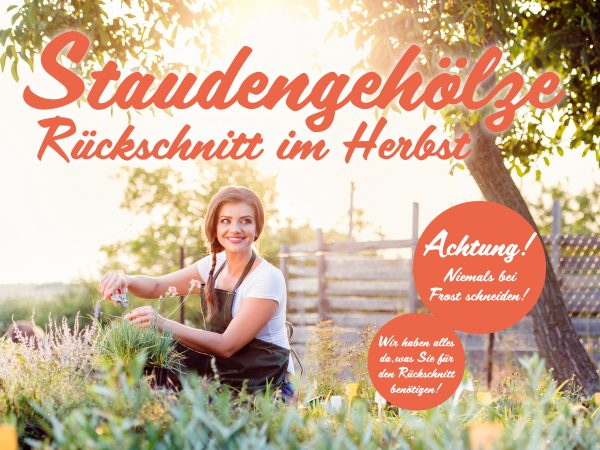 MW_201909_010083_Facebook_1_1200x900px