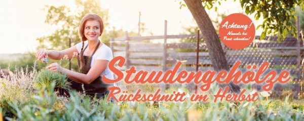 MW_201909_010083_Web-Banner_880x350px