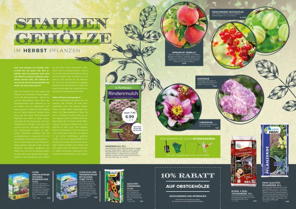 MW_201910_010083_Staudengehölze – Rückschnitt im Herbst