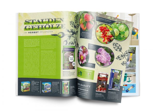 Mockup_MW_201909_010082_Staudengehölze im Herbst pflanzen