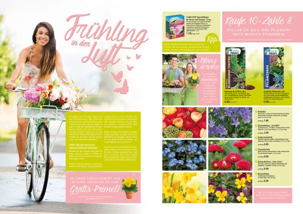 010003_2018-01_Frühlingsblumen