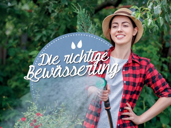 010024_2018_06_Bewaesserung-von-Gartenpflanzen-Facebook