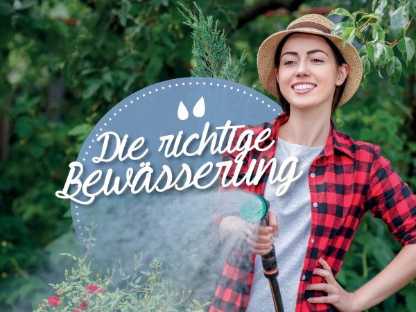 010024_2018_06_Bewaesserung-von-Gartenpflanzen-Printbanner