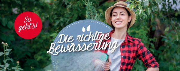 010024_2018_06_Bewaesserung-von-Gartenpflanzen-Webbanner