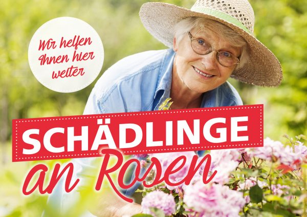 010028_2018_08_Schädlinge an Rosen_Banner_212x150cm