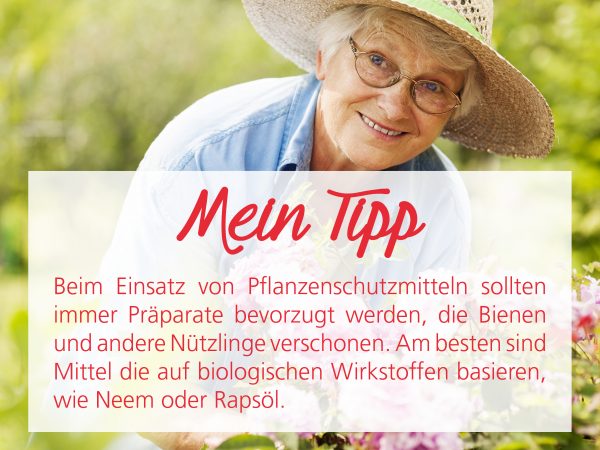 010028_2018_08_Schädlinge an Rosen_Facebook_3_1200x900px