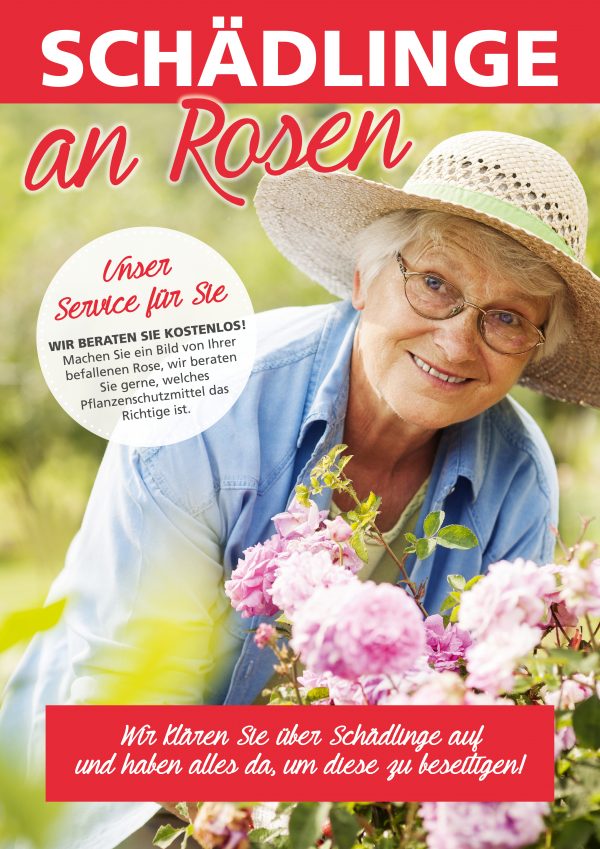 010028_2018_08_Schädlinge an Rosen_Plakat A1