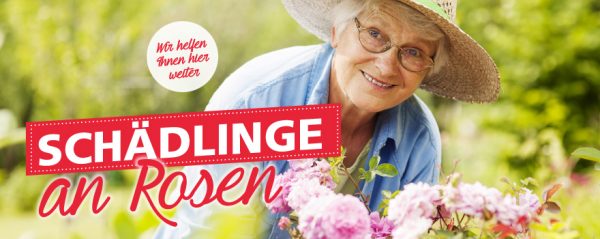 010028_2018_08_Schädlinge an Rosen_Web-Banner_880x350px