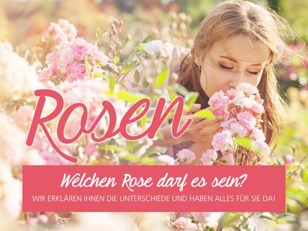 010030_2018_07_Rosenarten_Facebook_1_1200x900px