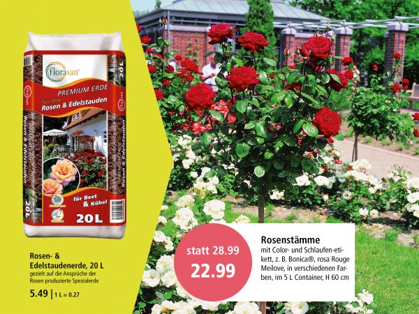 010030_2018_07_Rosenarten_Facebook_3_1200x900px