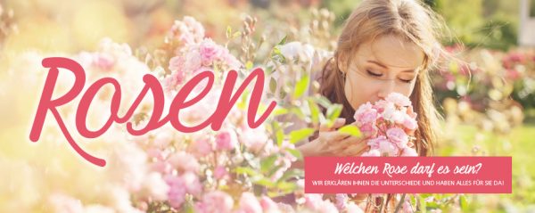 010030_2018_07_Rosenarten_Web-Banner_880x350px