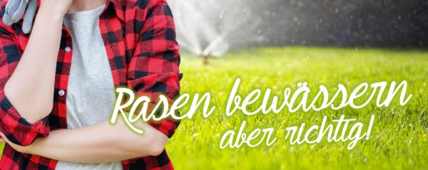 010032_2018_07_Rasen bewässern_Web-Banner_880x350px