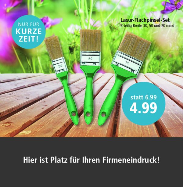 010036_2018_08_Holzpflege_Anzeige