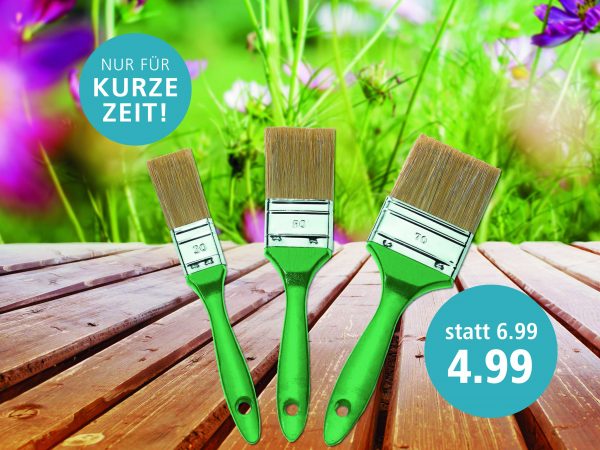 010036_2018_08_Holzpflege_Facebook03