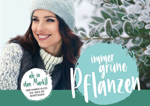 010043_2018_09_Obstbäume pflegen – Baumschnitt_Banner_212x150cm