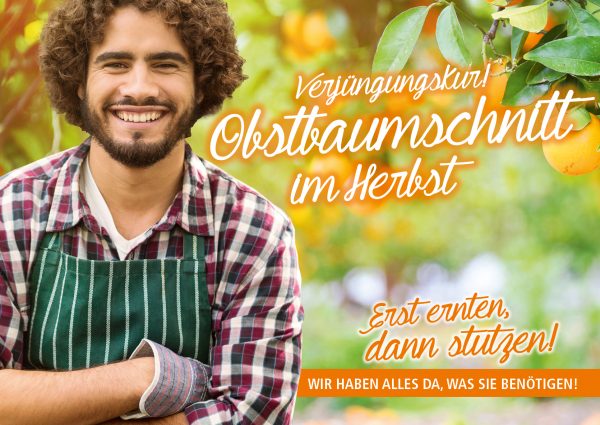 010043_2018_09_Obstbäume pflegen – Baumschnitt_Banner_212x150cm