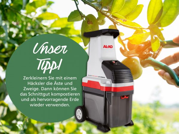 010043_2018_09_Obstbäume pflegen – Baumschnitt_Facebook_3_1200x900px