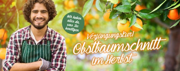 010043_2018_09_Obstbäume pflegen – Baumschnitt_Web-Banner_880x350px
