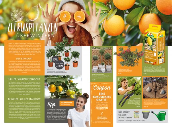 010052_2018_12_Zitruspflanzen-überwintern