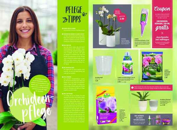 010054_2019_01_Orchideen
