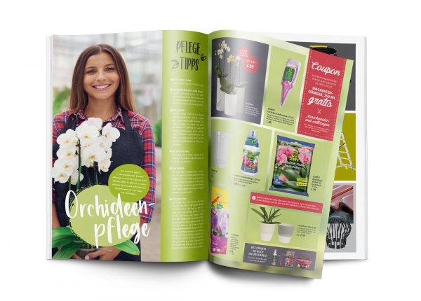 010054_2019_01_Orchideen_Mockup