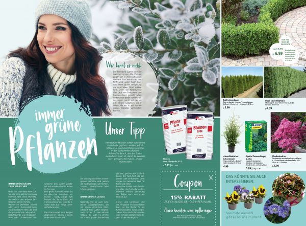 010056_2019_02_Immergrünen Pflanzen