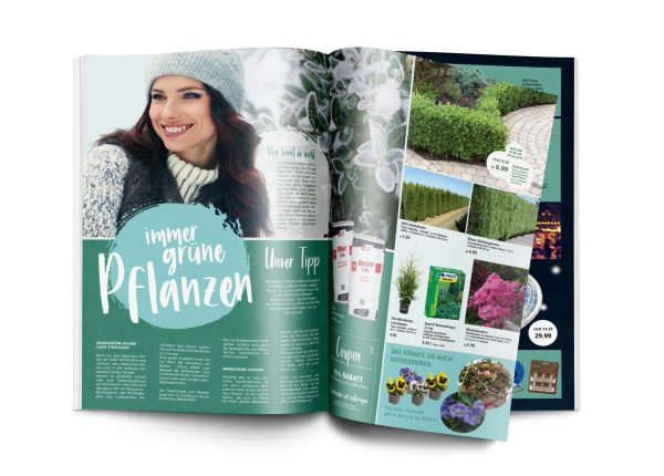 010056_2019_02_Immergrünen Pflanzen_Mockup