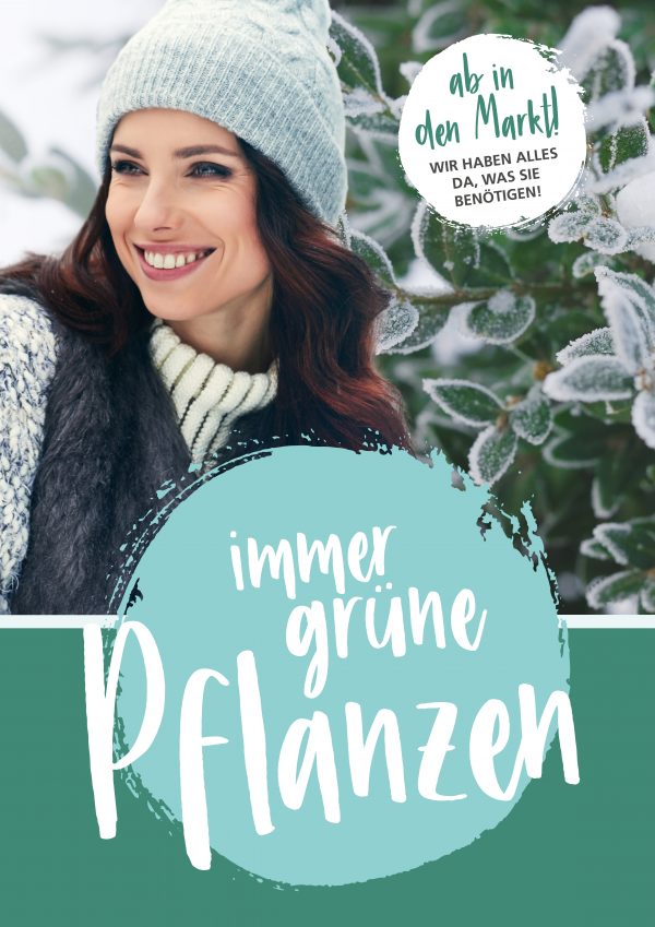 010056_2019_02_Immergrünen Pflanzen_Plakat A1