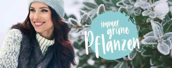 010056_2019_02_Immergrünen Pflanzen_Web-Banner_880x350px