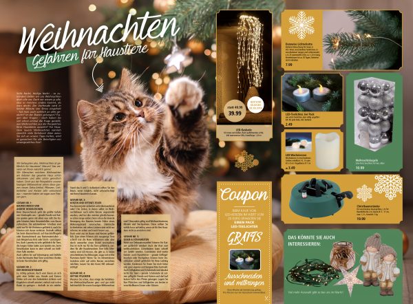 030021_2018_12_Weihnachten – Gefahren für Haustiere