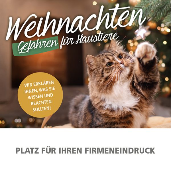 030021_2018_12_Weihnachten – Gefahren für Haustiere_Anzeige_92x94mm