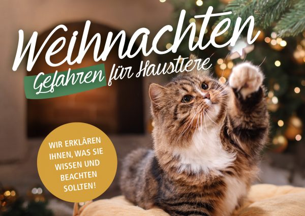 030021_2018_12_Weihnachten – Gefahren für Haustiere_Banner_212x150cm