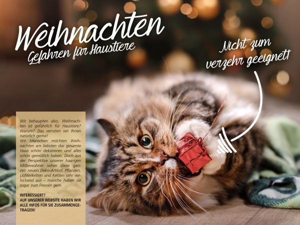 030021_2018_12_Weihnachten – Gefahren für Haustiere_Facebook_3_1200x900px