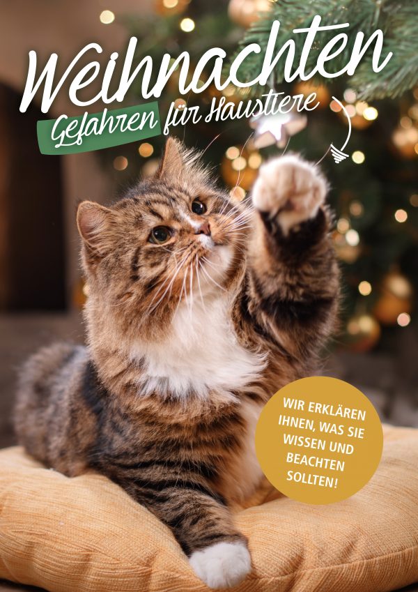 030021_2018_12_Weihnachten – Gefahren für Haustiere_Plakat A1