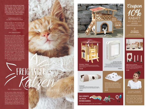 03022_2019_01_Freigänger-Katzen-im-Winter