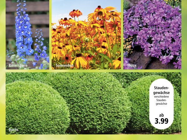 2018_04_Stauden und Sträucher_Facebook_3_1200x900px