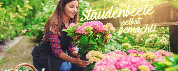 2018_04_Stauden und Sträucher_Web-Banner_880x350px