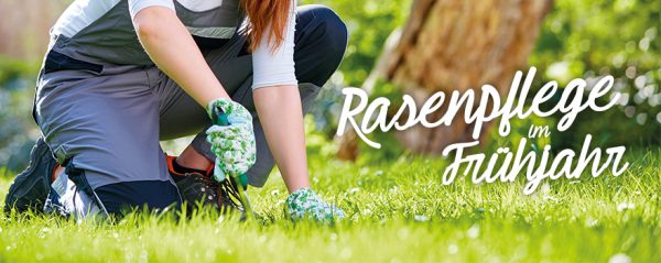 2018_05_Rasenpflege im Frühjahr_Web-Banner_880x350px