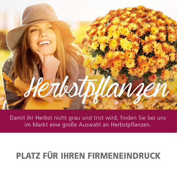 2018_09_Herbstpflanzen_Anzeige_92x94mm