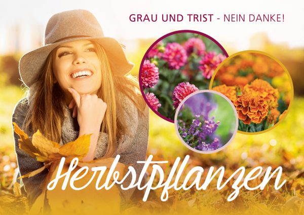2018_09_Herbstpflanzen_Banner_212x150cm