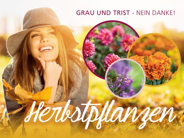 2018_09_Herbstpflanzen_Facebook_1_1200x900px