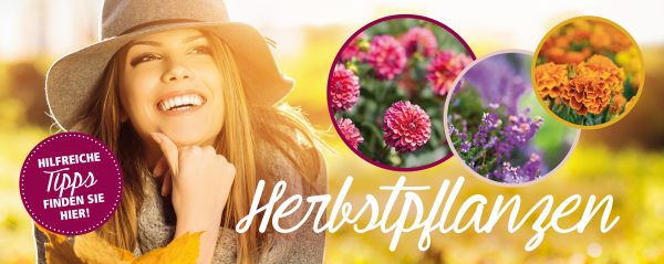 2018_09_Herbstpflanzen_Webbanner_880x350px