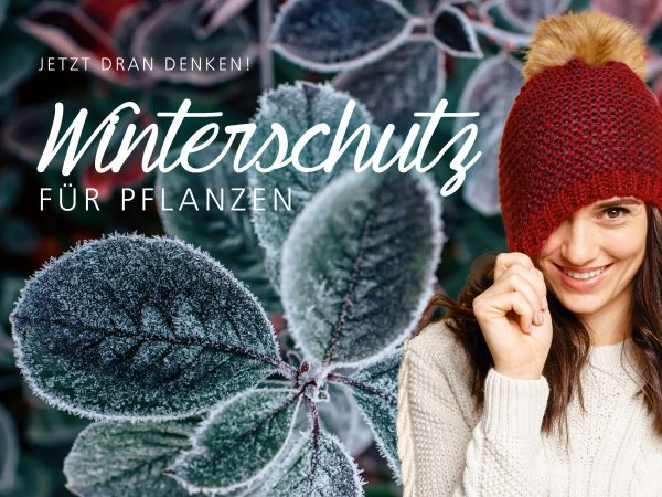 2018_10_Winterschutz-für-Pflanzen_Facebook_1_1200x900px