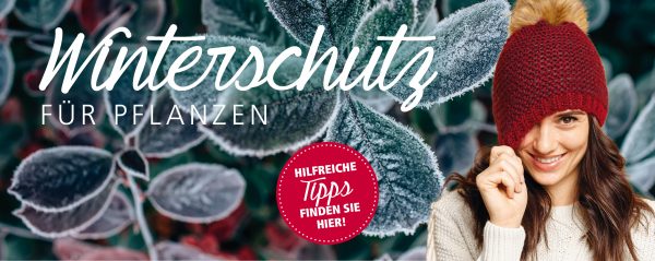 2018_10_Winterschutz-für-Pflanzen_Webbanner_880x350px