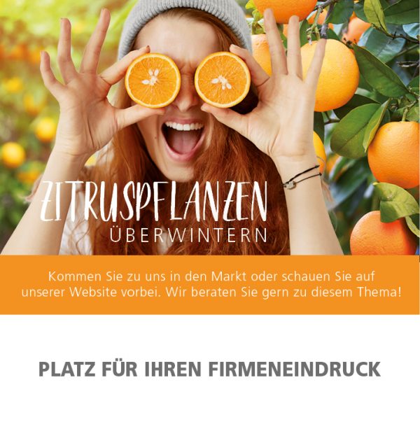 2018_12_Zitruspflanzen-überwintern_Anzeige_92x94mm