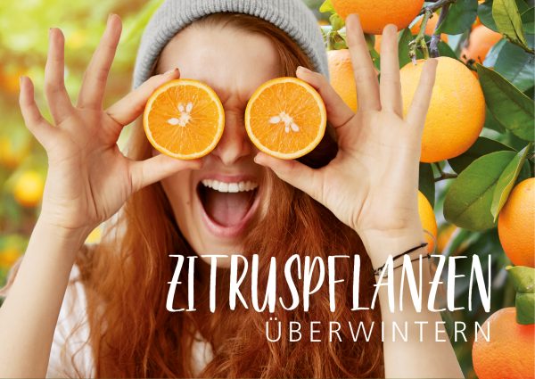 2018_12_Zitruspflanzen-überwintern_Banner_212x150cm