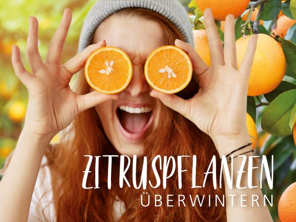 2018_12_Zitruspflanzen-überwintern_Facebook_1_1200x900px